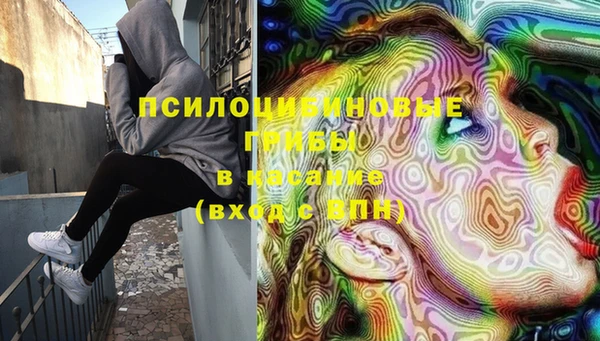стафф Горнозаводск