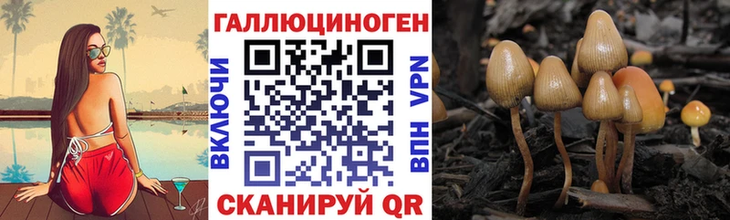 Псилоцибиновые грибы MAGIC MUSHROOMS  цены   Волгодонск 